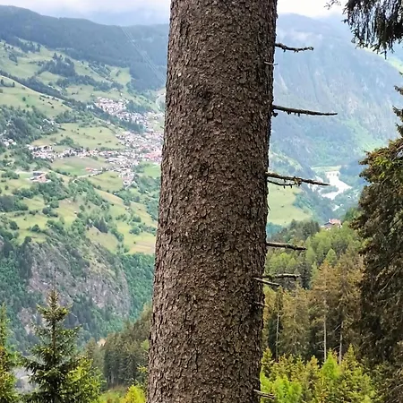 Διαμέρισμα Hochgallmigg Near Slopes Hochgallmig