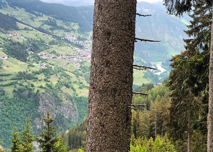 Appartamento Hochgallmigg Near Slopes Hochgallmig